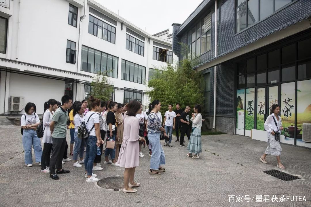 会友会景会茯茶品古品今品墨君|陕西巨鹰公司莅临金叶茯茶参观