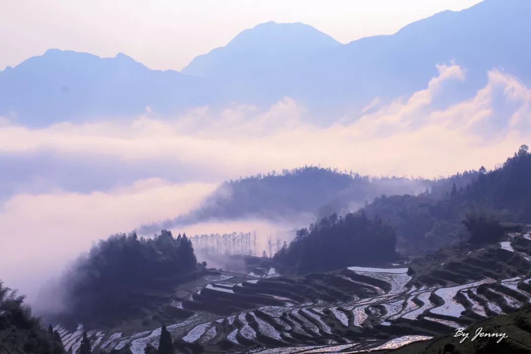 比乌镇安静比南浔古朴,藏不住了这里有最炫秋色