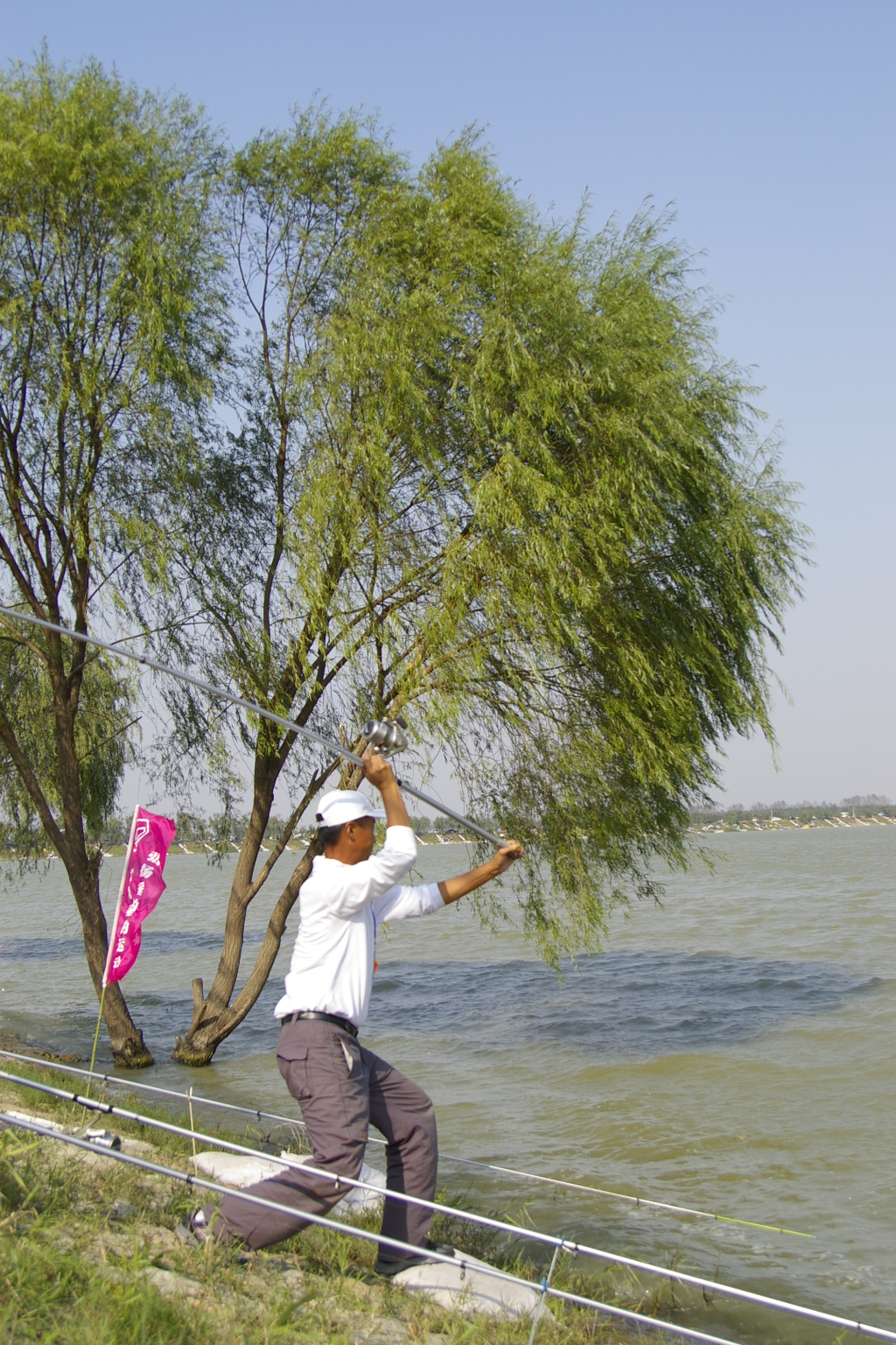 钓了这么多年鱼发现还是抛竿用着得劲儿,我竟然划分出了17种……