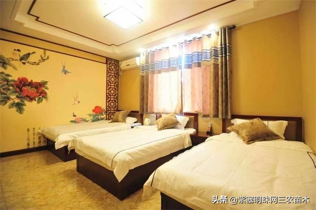 长岛值得去的渔家乐,长岛美丽的海岛