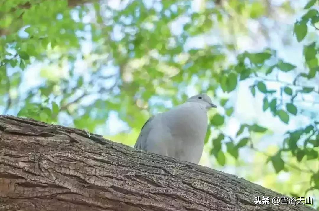 你好，喀什大学！！！中国最西边的大学