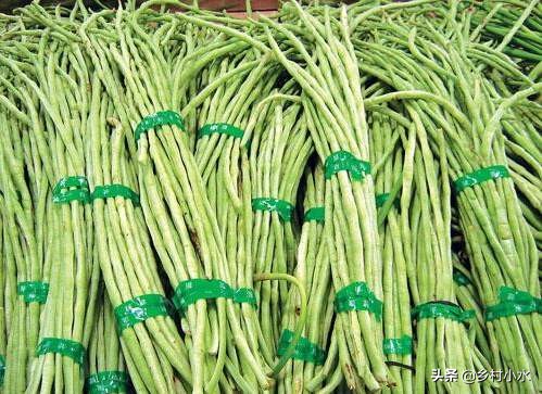 不用农药杀豆角钻心虫的方法,豆角钻心虫最佳治疗方法