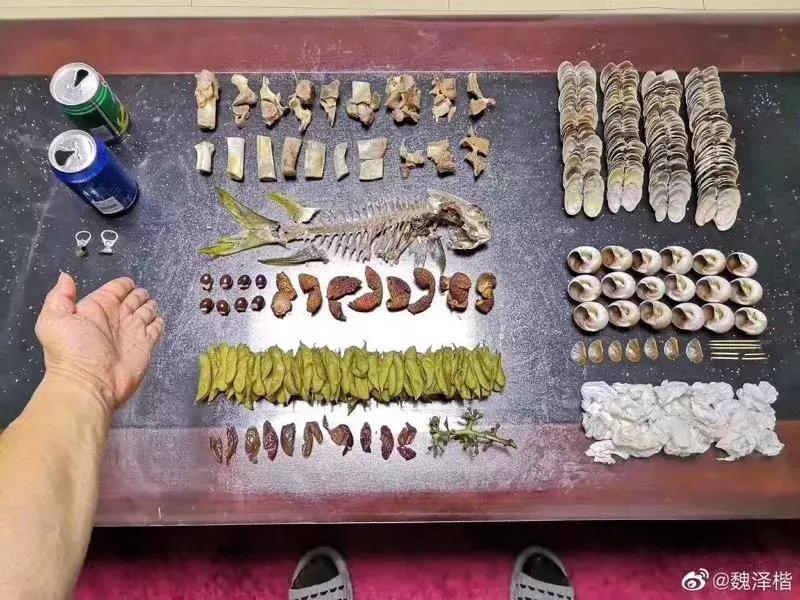 行业观察上海垃圾分类成功了么,垃圾分类文创