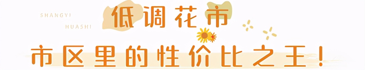 昆明鲜花进货渠道,昆明尚义花市