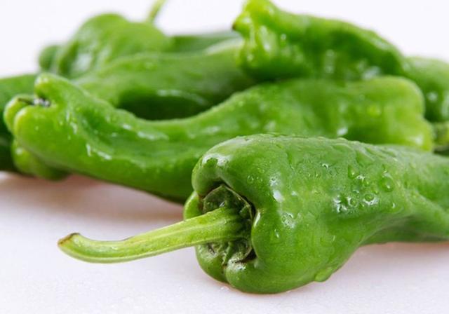 大棚辣椒的高产栽培技术,大棚辣椒高产的种植管理方法