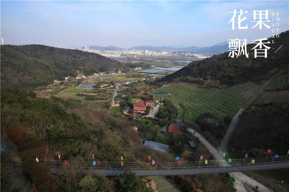 一位女村官的故事,一个农村姑娘的创业史