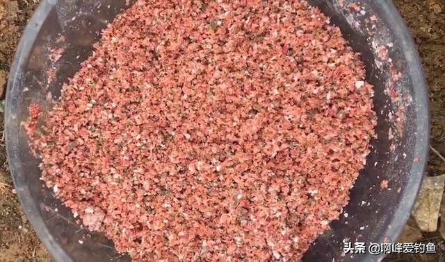 过春守大鲤,万万想不到钓了一尾神兽,你们认识这是什么吗?