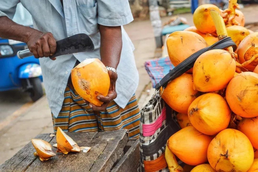 斯里兰卡对华限时免签,2023斯里兰卡免签规则