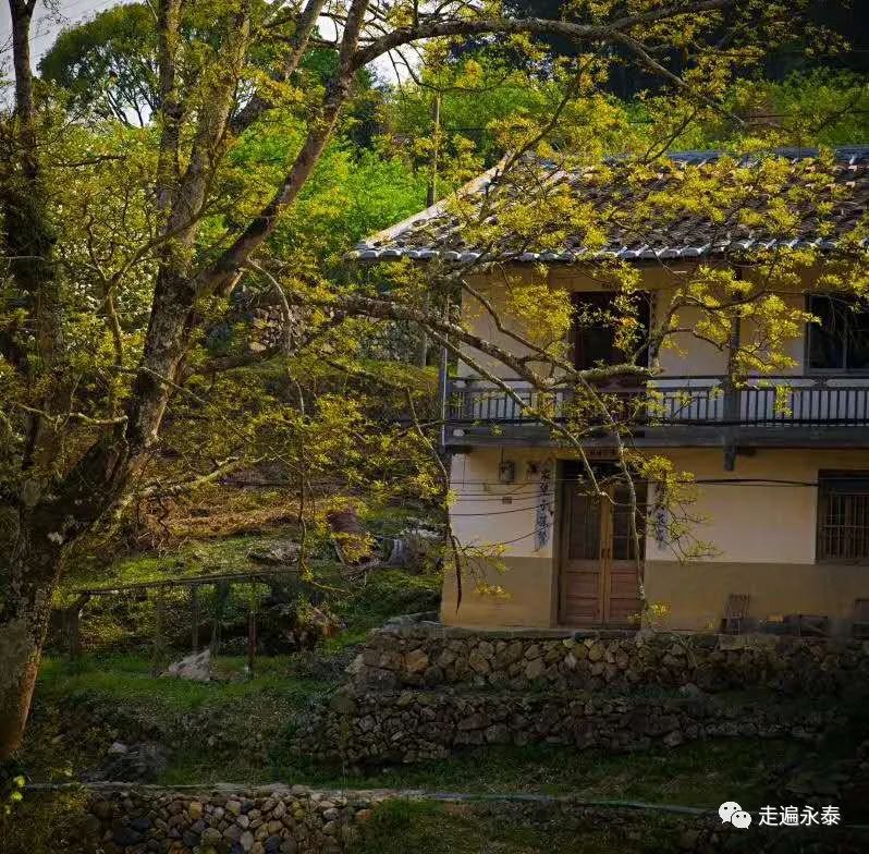 福州永泰：祖山之下第一村（上）