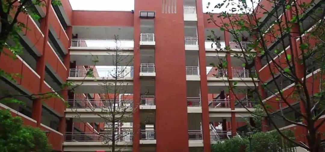 南昌育新学校九龙湖分校有小学吗,南昌育新学校九龙湖新城分校