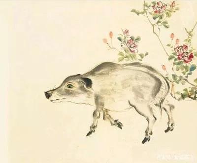 三千年前的野生动物保护者这样说——老魏读《诗》之《驺虞》