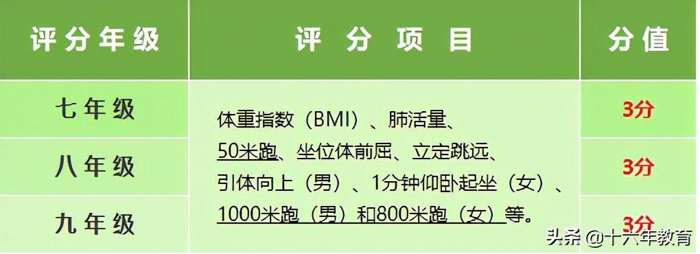 2024上海体育中考方案,2023中考体育解读