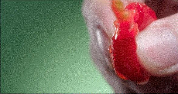 酸汤鱼的做法凯里酸汤鱼,来凯里吃豆花面