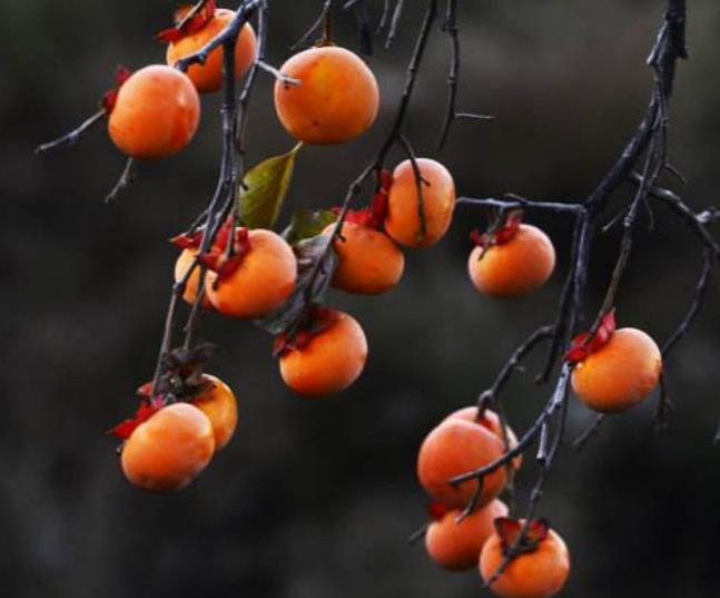 翻脸不认人的人最可怕,人生我们要学会翻脸不认人