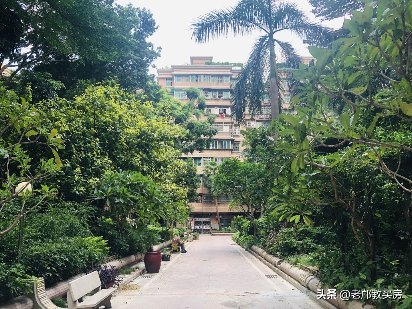 实验小学被打事件,实验小学发飙现场