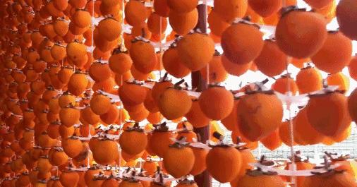 正宗的富平柿饼知识普及，记得收藏