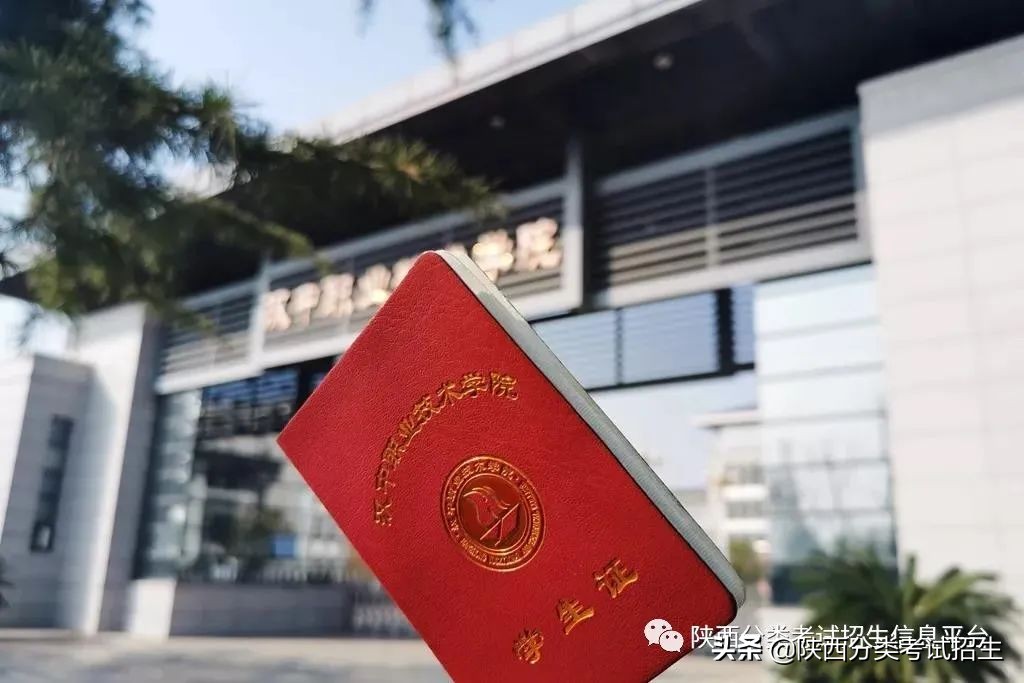 两汉三国，真美汉中|汉中职业技术学院