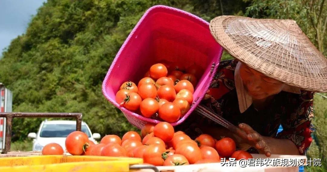 2023重点扶持的农业项目的特点,国家特色农业扶持政策有哪些