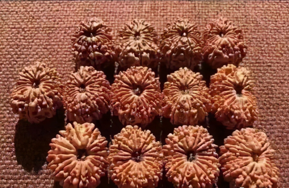 想捡漏别被套路,各种金刚估价表