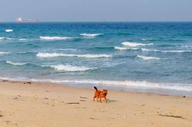 中国海岛最美的海边,中国最美十大海岛哪个最好玩