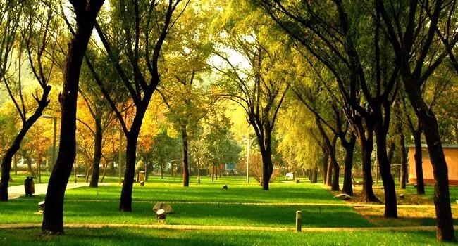 郑州地铁3号线二期楼盘,郑州地铁3号线和5号线在哪里交汇