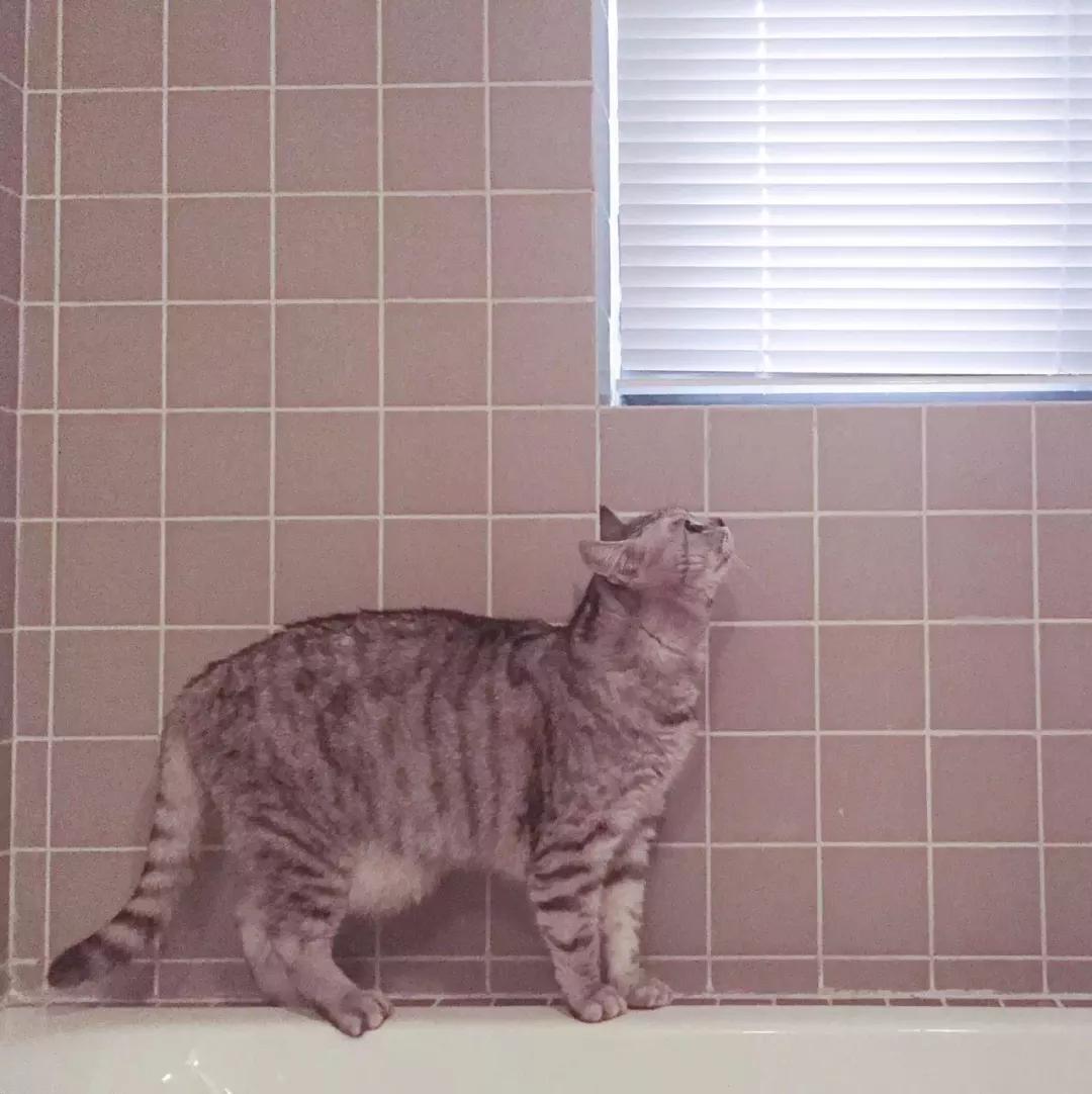 澶湁鐖变簡瀹屾暣瑙嗛,澶湁鐖变簡鍏ㄦ枃闃呰