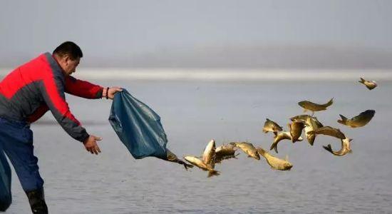 鱼竿抱死怎么解决,鱼竿竿把抱死怎么收回来