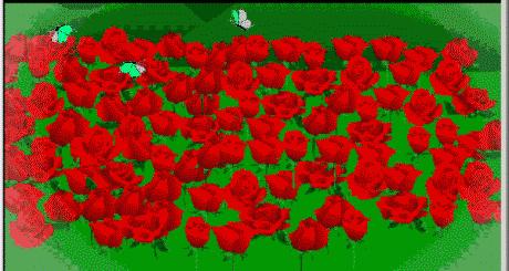 30张动图图片,会动的照片简直绝美