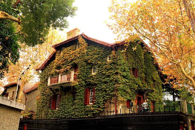 上海自由行必去十大景点,上海晚上十大必去免费景点