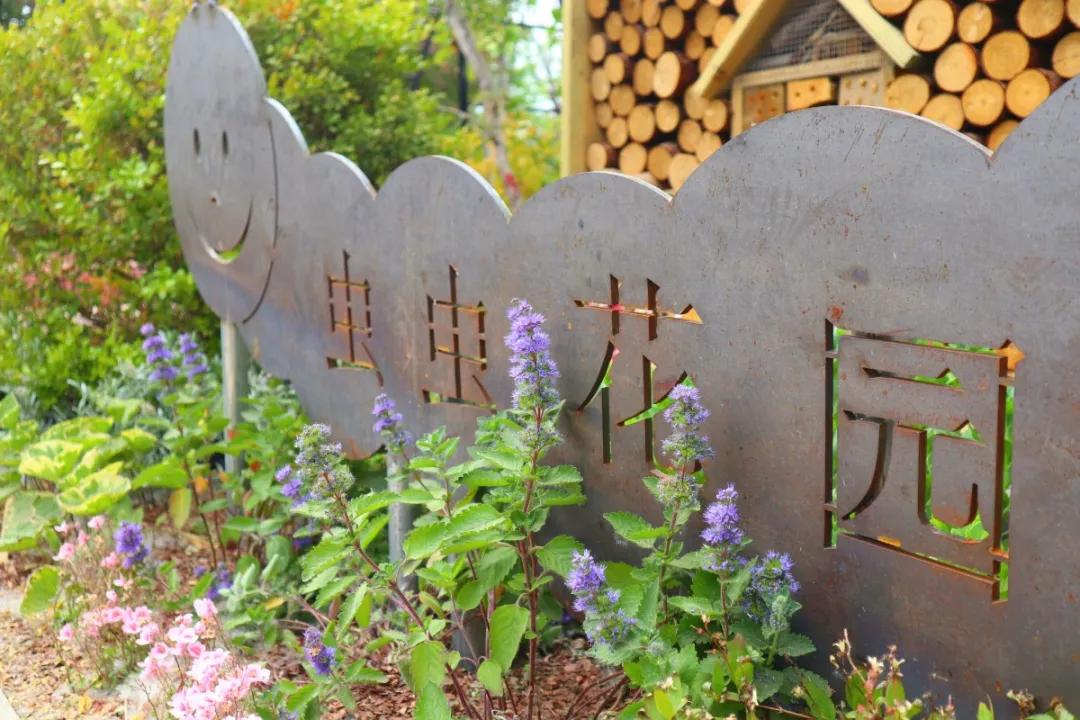 花展的意义,花展布展情况介绍