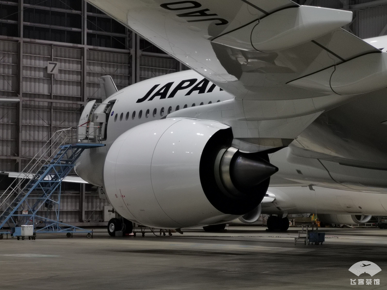 日本航空飞机餐怎么样 (日本东亚国内航空商务舱餐食)