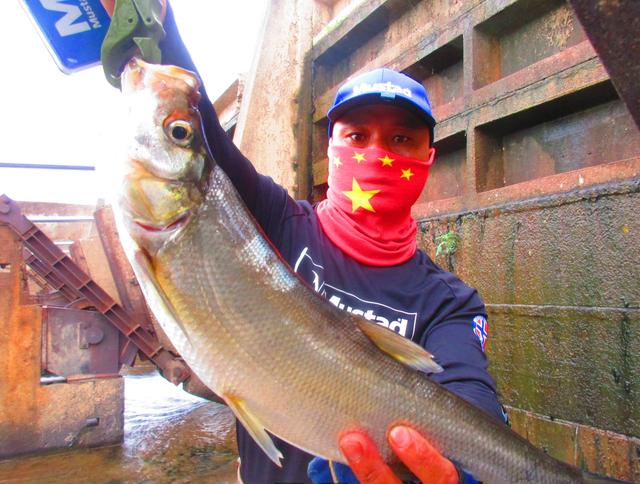 铅头钩和德州钓组哪种好,实战铅头钩最强绑法