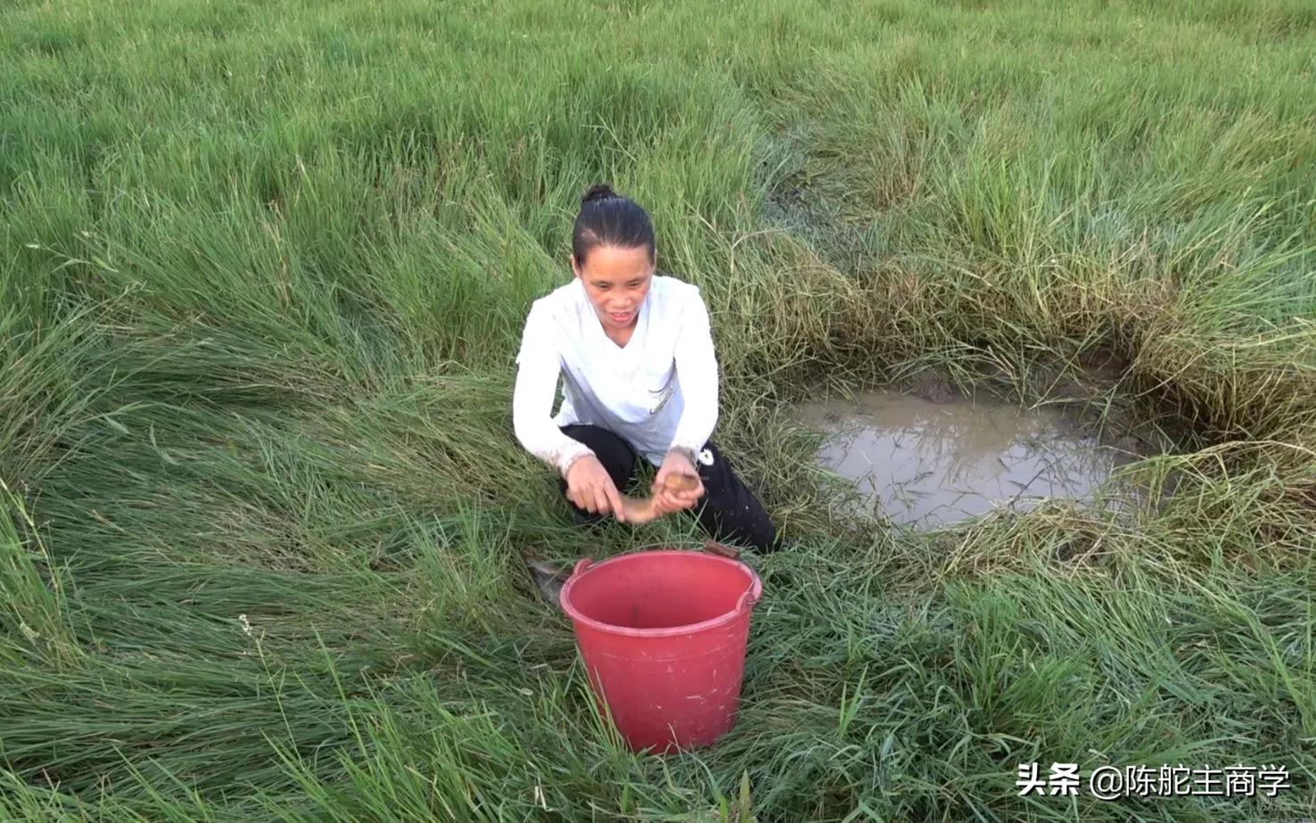 新农合收费遇难题断缴成常态,村干部讲今年医保断缴