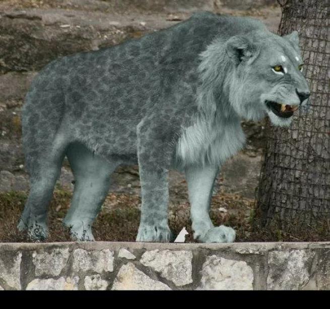 地球最大动物蓝鲸两百吨体重,地球最大的动物是什么动物