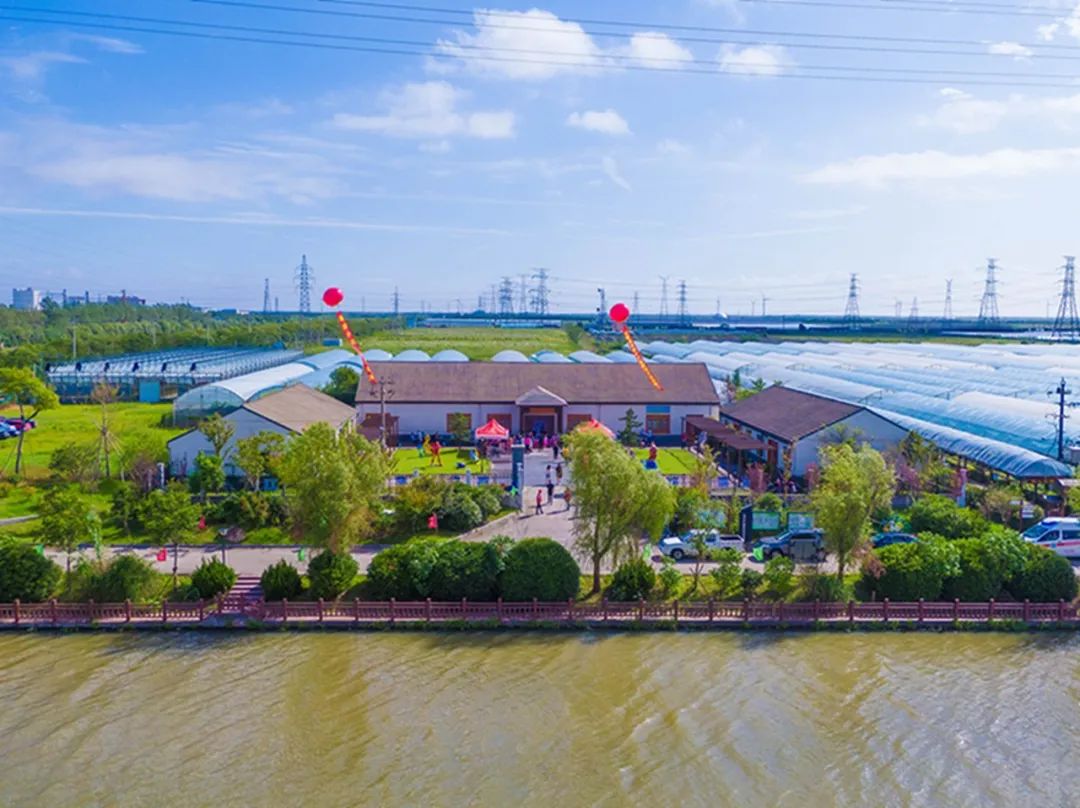 文旅资讯站｜慈溪市第十六届葡萄节暨灾后复产现场会顺利举行