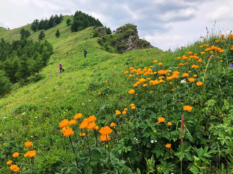 小五台山景区游玩攻略,小五台山快乐一日游