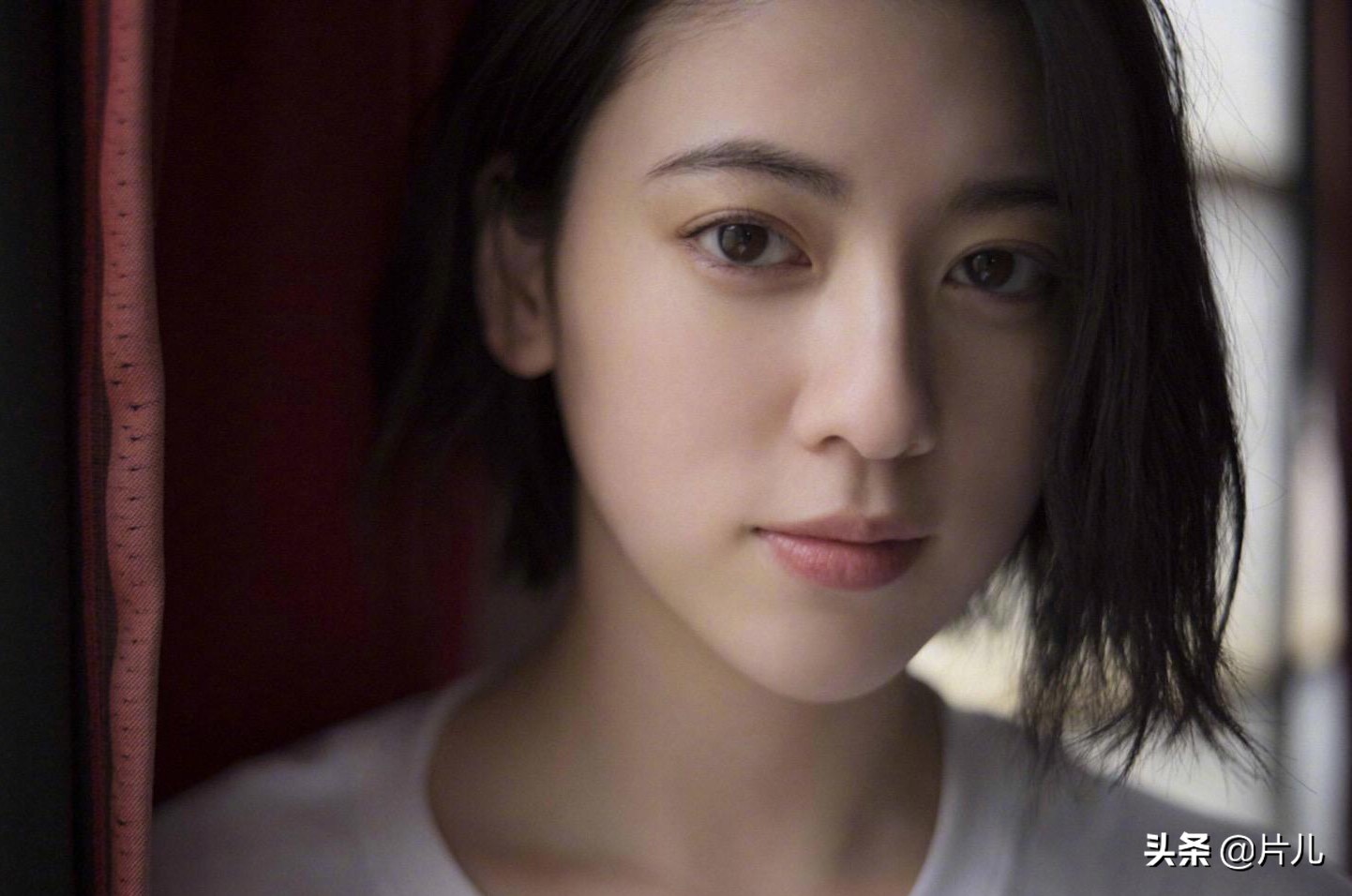 周杰伦合作过的mv女主,细数周杰伦mv中令人心动的女主