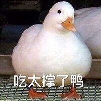 生活谣言大全100首,生活中的十大谣言你中招了吗