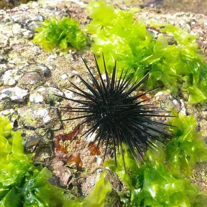 牛出天际！深圳人终于可以买岛，走向人生巅峰不是梦！