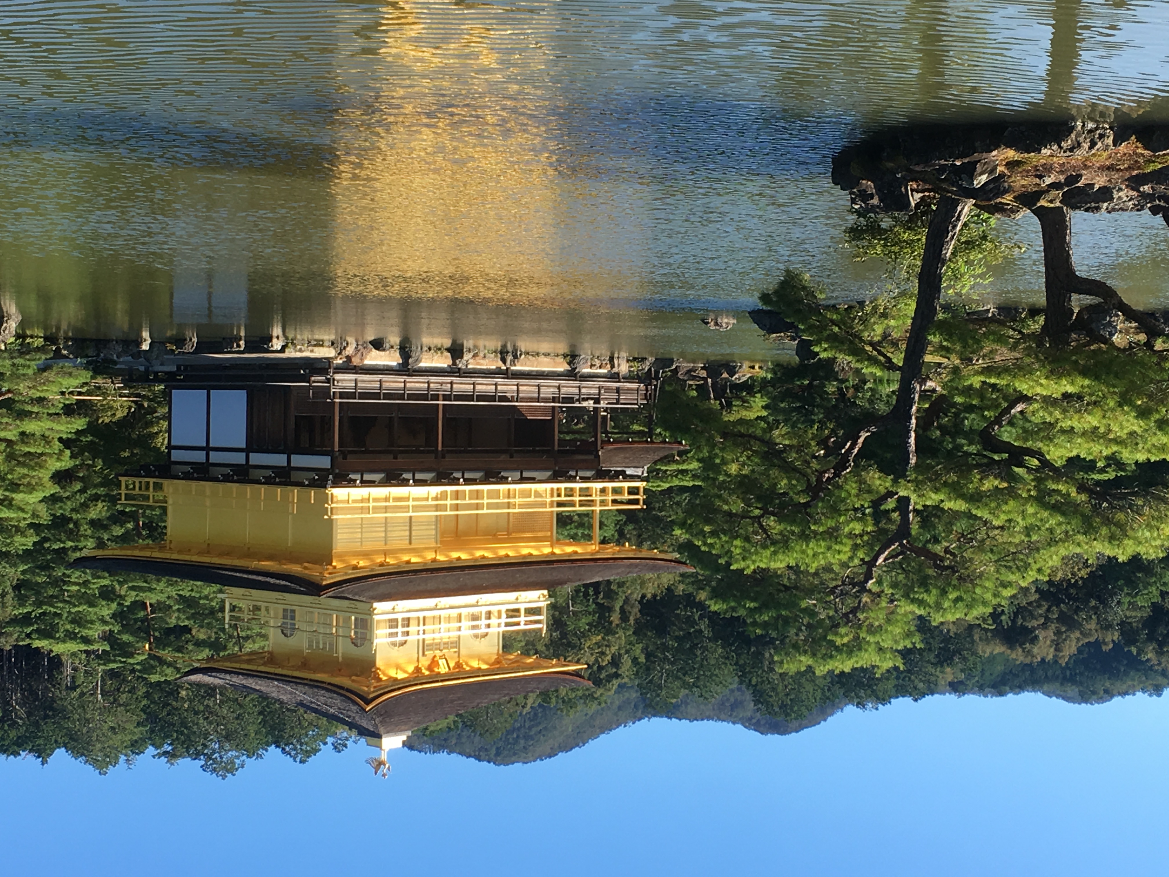 京都之旅探寻古都的魅力与美景,日本旅游东京京都霓虹初见