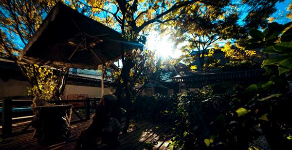 与山海作伴，青岛最美民宿盘点