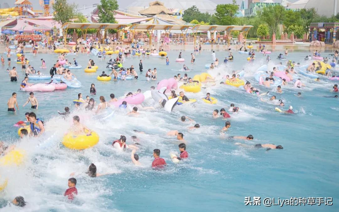 什么样的泳衣穿起来好看有高级感,最好看的女性高级感泳衣分体