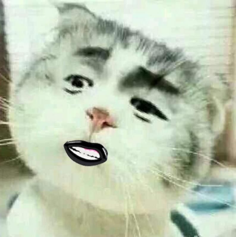 愚人节所有的真话都是假的,沈阳学汇教育的是真的