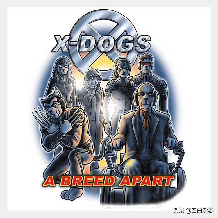 美国人的时尚偶像，竟然是一只狗