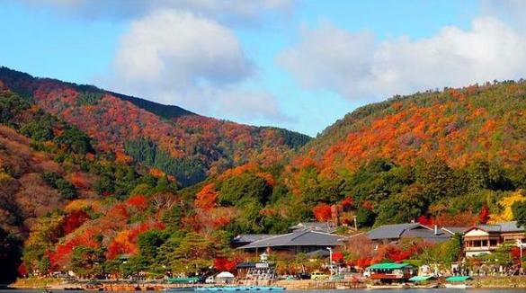 疫情时期的日本旅游业现状,疫情下中国的旅游业现状