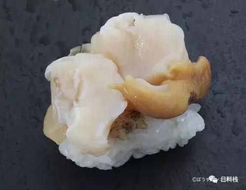 峨螺是什么,厚重峨螺