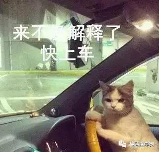 hpv低级病变可以备孕吗,备孕期间遇上hpv怎么办