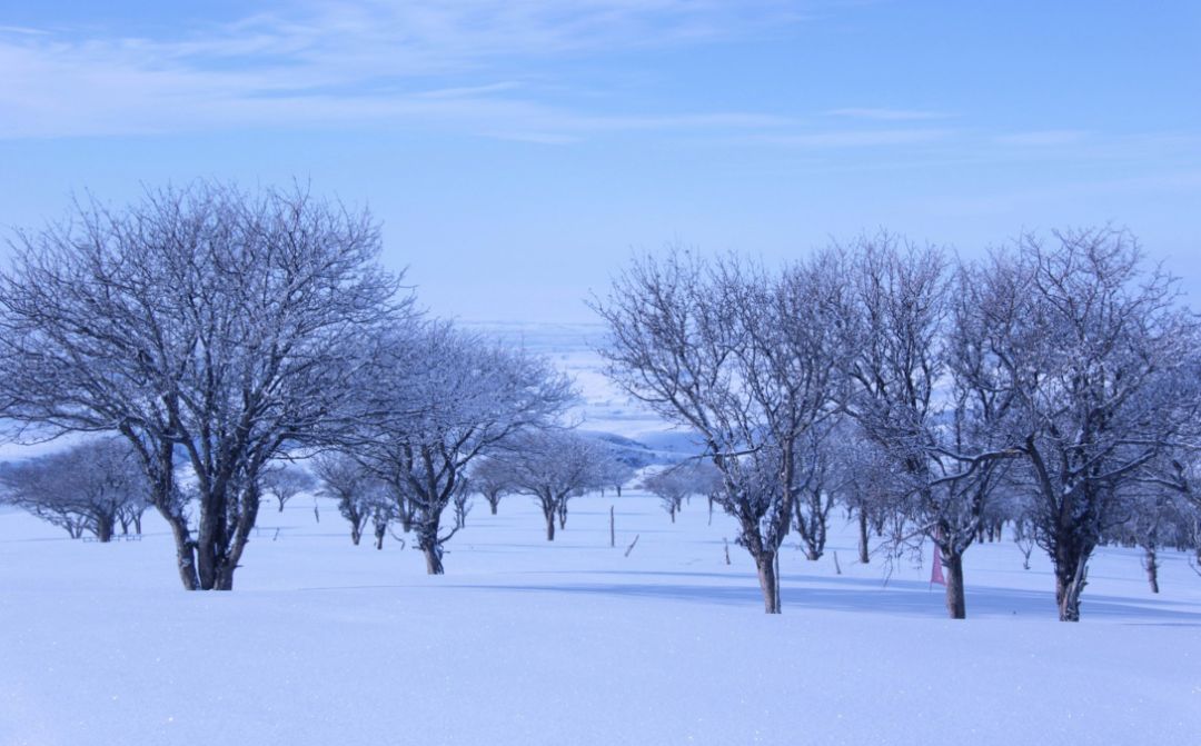九师塔城额敏冰雪文化旅游节,2022兵团九师塔城额敏冰雪节