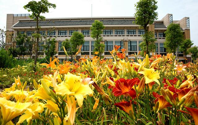 二本院校最有实力的40所大学,实力被低估的二本大学