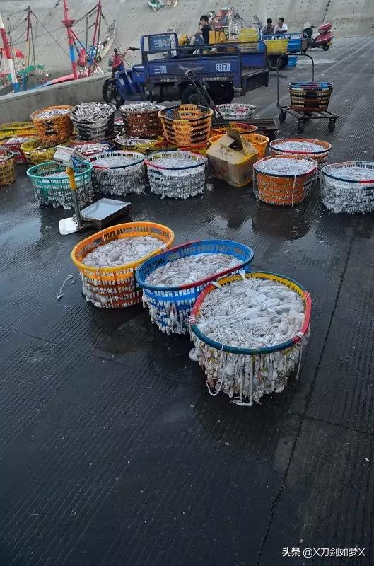 一位导游的枸杞岛之旅 (枸杞岛2021年原创游记攻略分享)